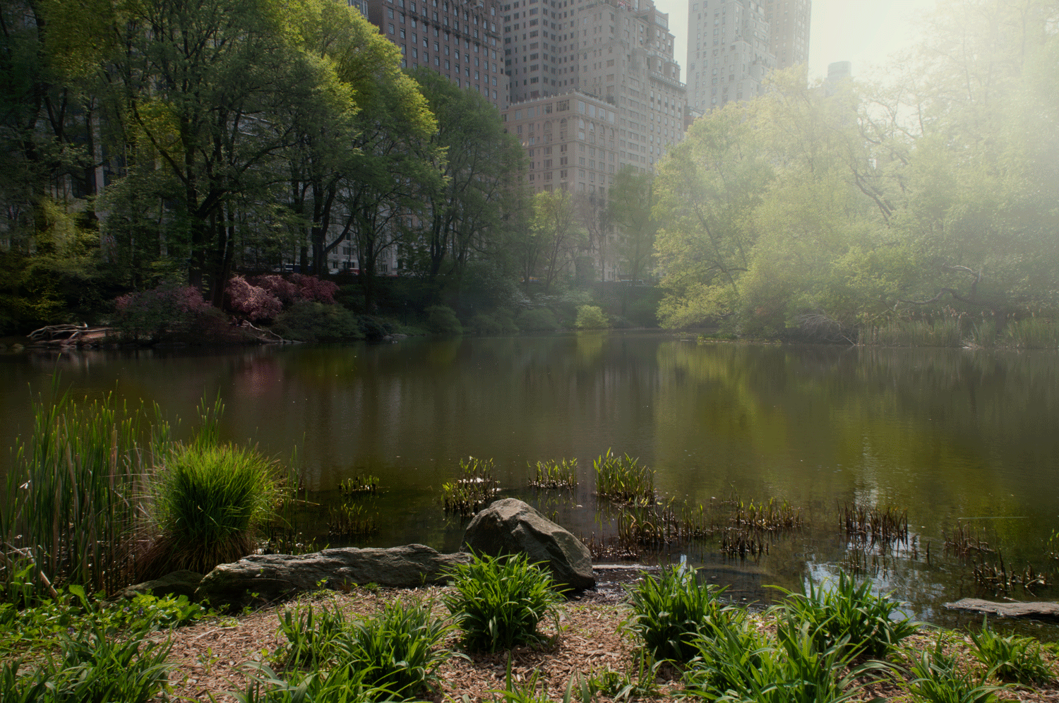 Central Park South